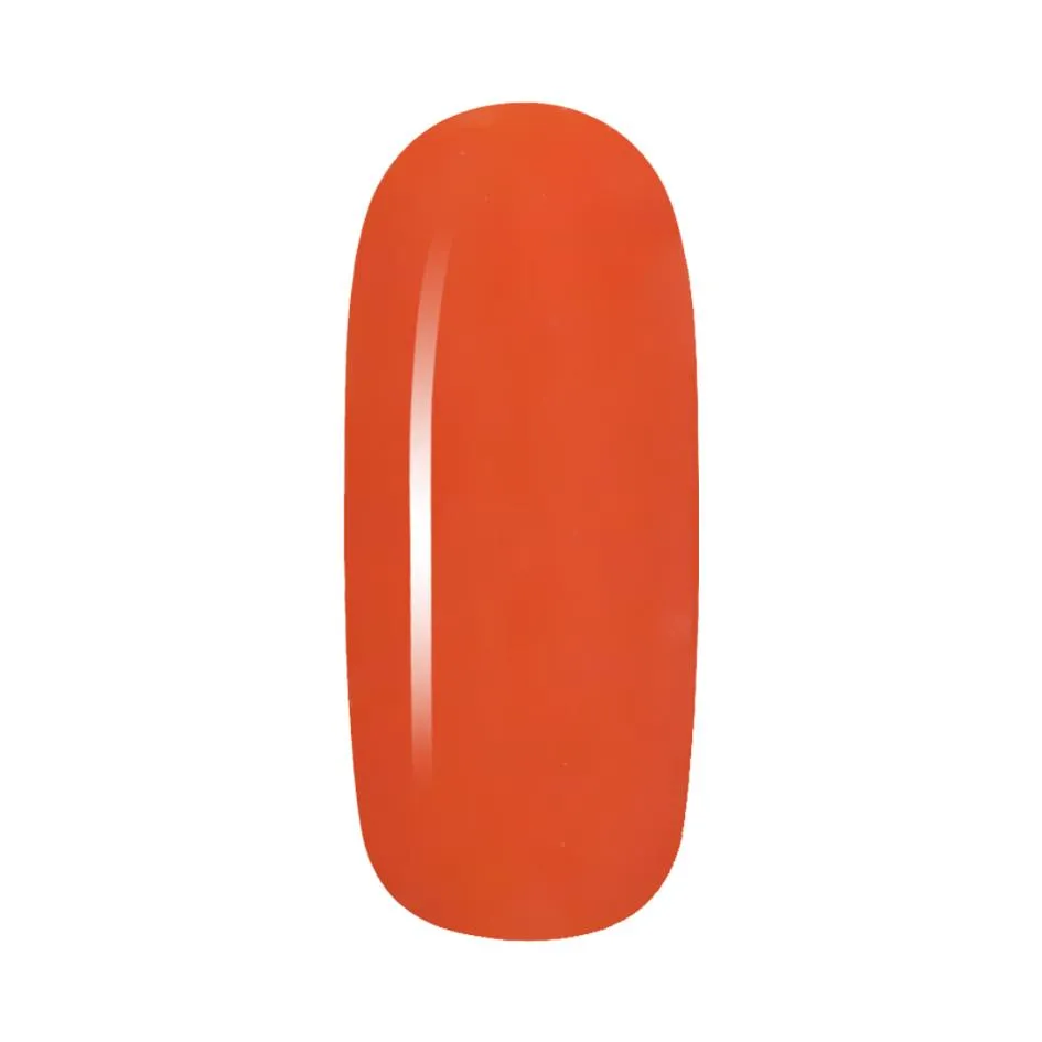 Candy Coat - Paint048