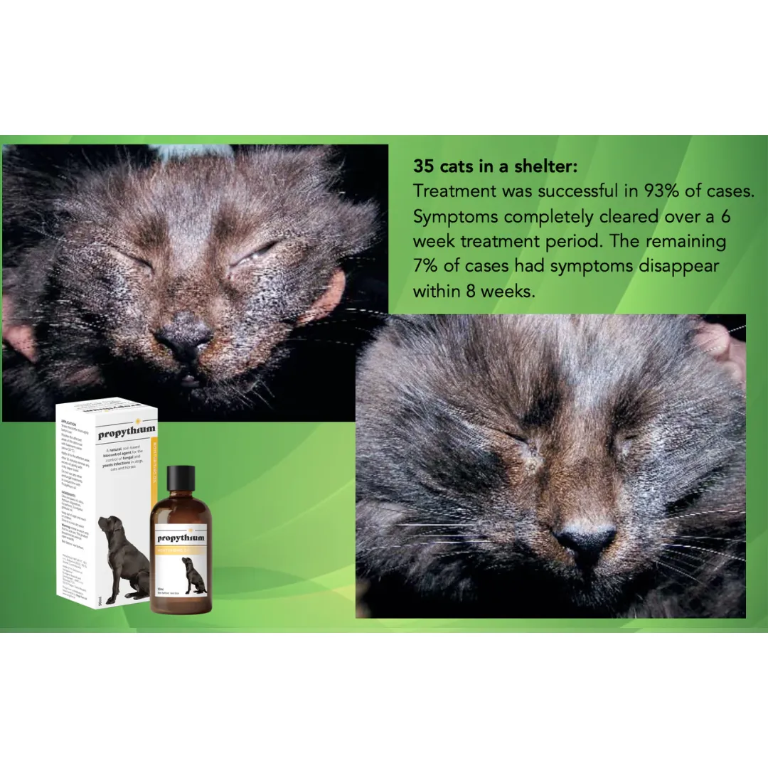 Dogs First Propythium Moisturising Oil - Natural Yeast Killer