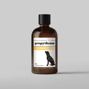 Dogs First Propythium Moisturising Oil - Natural Yeast Killer