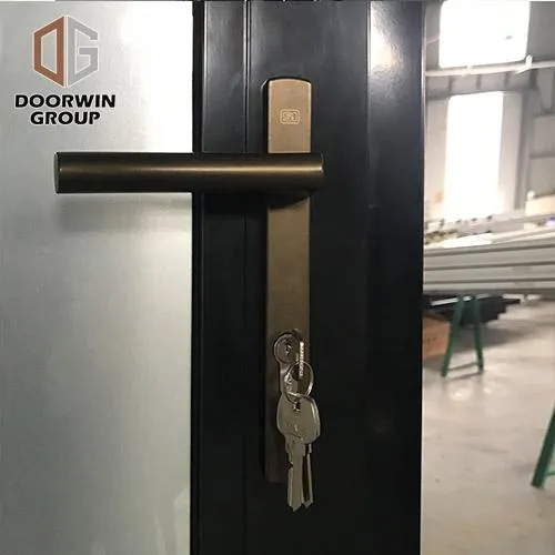 DOORWIN 2021Hot new products Nigerian style aluminium casement windows and doors standard inward swing inswing window doorby Doorwin on Alibaba