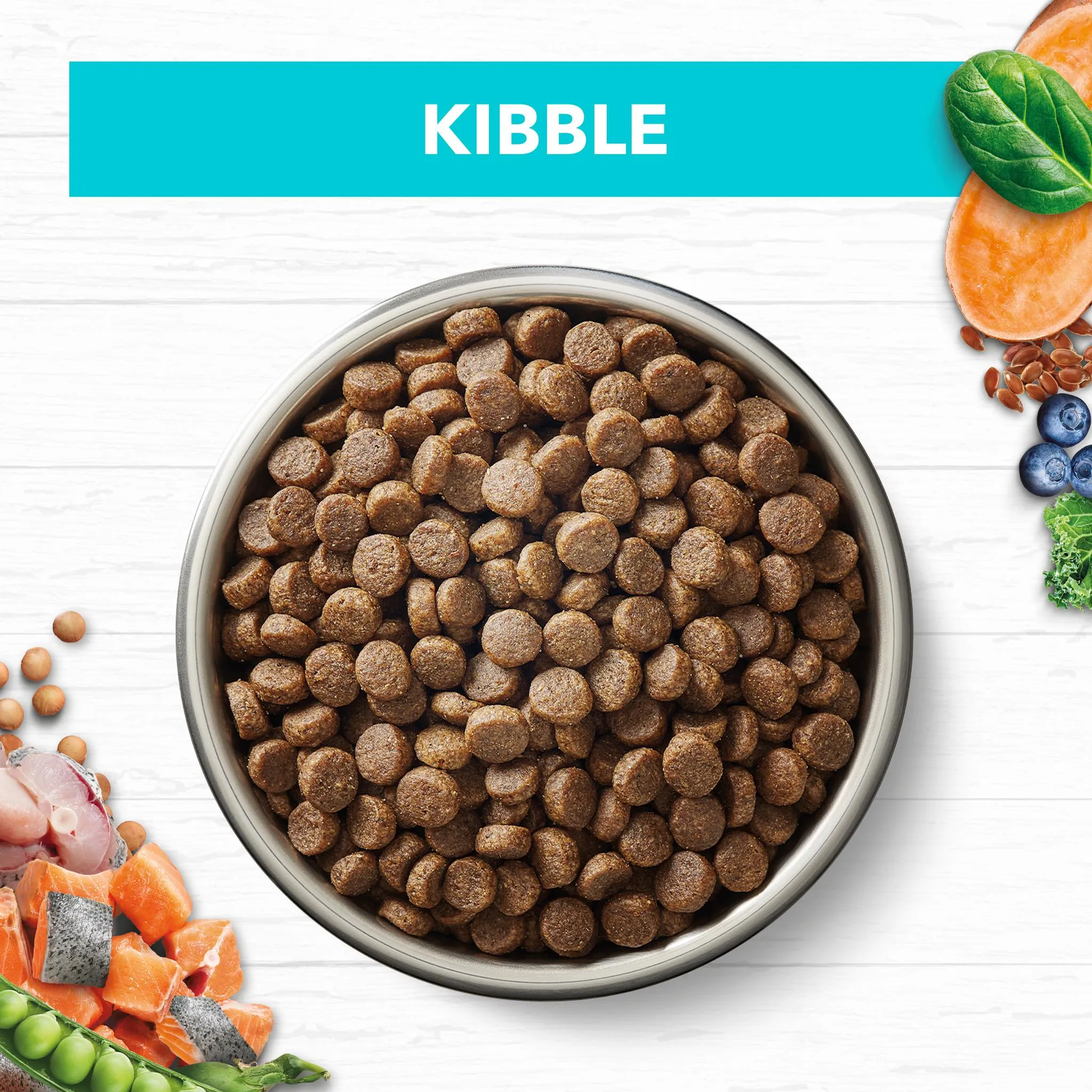 Ivory Coat Kitten Grain Free Ocean Fish & Salmon Cat Dry Food 2kg