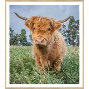 Natural - Highland Calf - Large