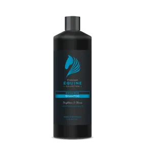Pro Groom Enhance Shampoo