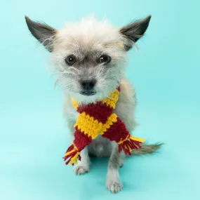 Striped Wizard Dog Scarf (Inspired by Harry Potter)